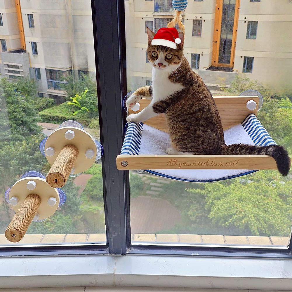 Window-Mounted Cat Perch with Scratching Post