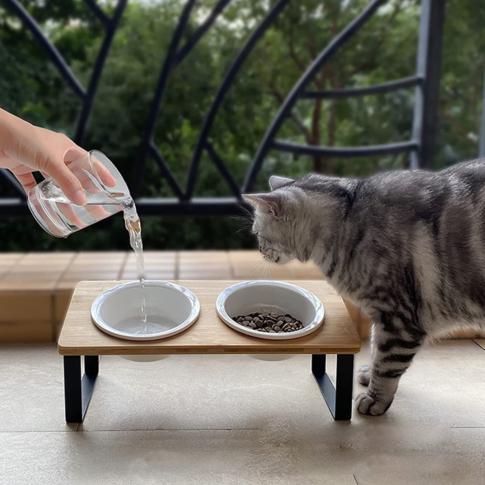 Elevated Pet Feeder with Black Legs
