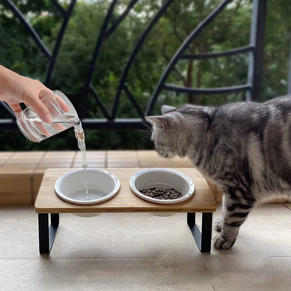 Elevated Pet Feeder with Black Legs