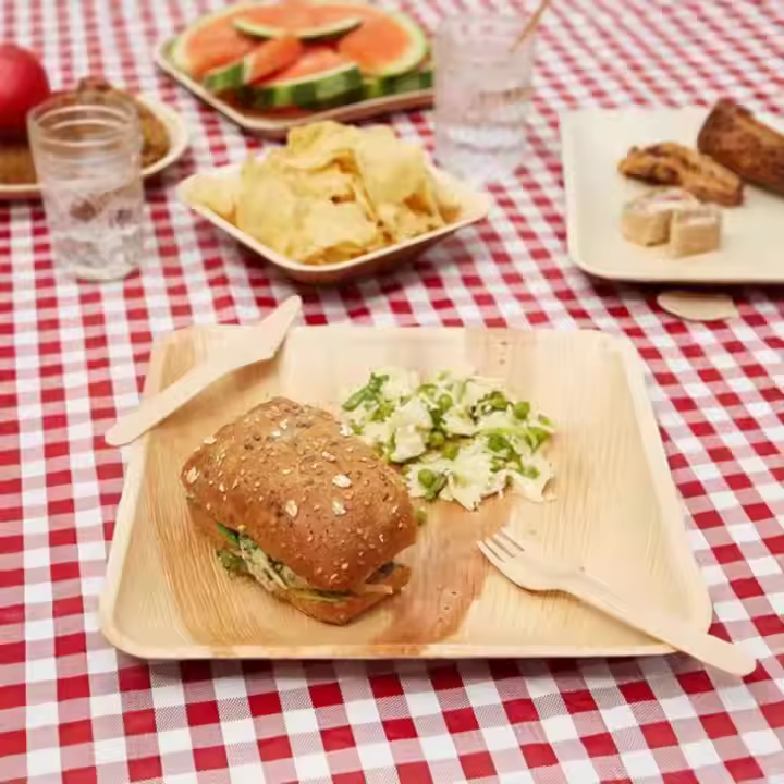 compostable wooden plates and utensils
