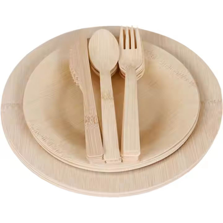 Prototype disposable wooden dining plate