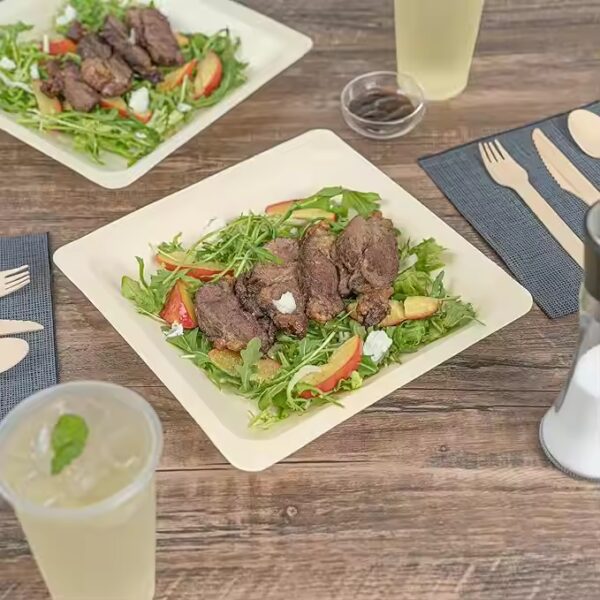 Eco-Conscious Biodegradable Disposable Appetizer Plates Dinnerware Combo Round Sets for Patient Hospital Meals