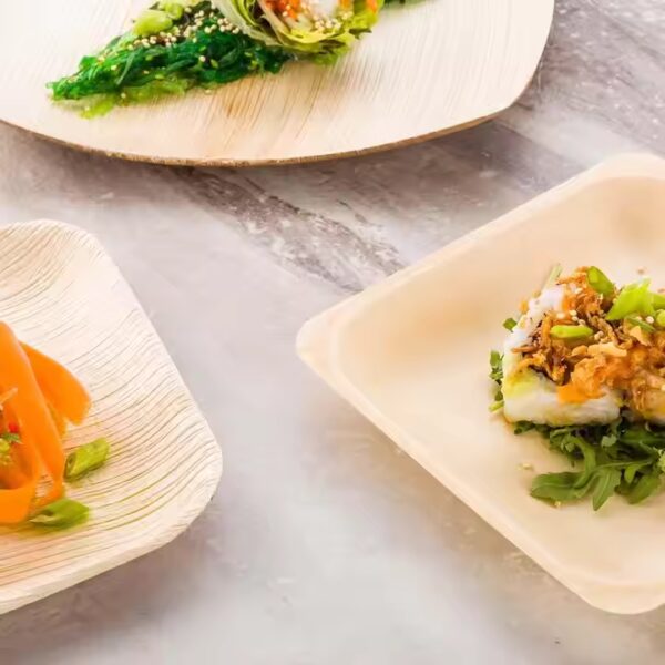 Eco-Conscious Biodegradable Disposable Appetizer Plates Dinnerware Combo Round Sets for Patient Hospital Meals