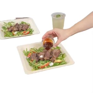 Eco-Conscious Biodegradable Disposable Appetizer Plates Dinnerware Combo Round Sets for Patient Hospital Meals